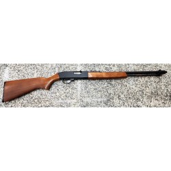 Rifle 22LR Winchester 190