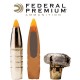 BALA FEDERAL 30-06 SPRING 180GR THROPHY BONDED C TIP